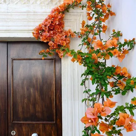 Bed and Breakfast Il Giardino