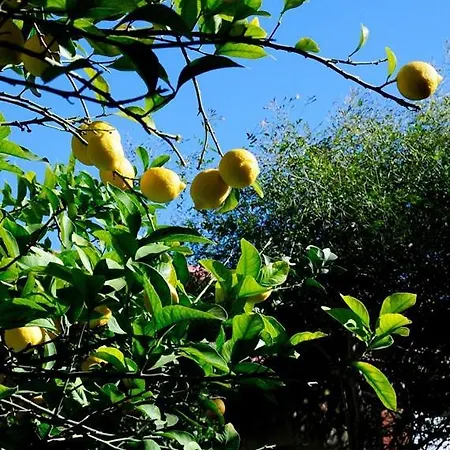 לינה וארוחת בוקר Il Giardino 3*