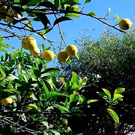 Il Giardino 3* Гротталье
